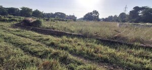 Plot Area in  Plot at Gudiapokhari – for Sale
