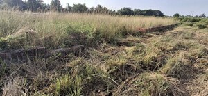  Plot For Sale in Gudiapokhari
