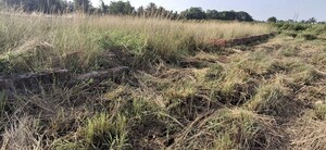 Plot Area in  Plot at Gudiapokhari – for Sale