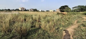 Plot Area in  Plot at Gudiapokhari – for Sale