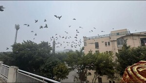 2 BHK Independent House – Exterior View View at Omicron I Greater Noida - for Sale