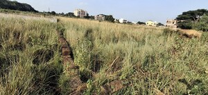 Plot Area in  Plot at Gudiapokhari – for Sale