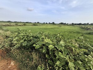 Plot Area in  Plot at Gudiapokhari – for Sale