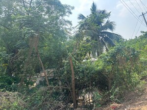  Plot – Garden View at Tadepalli - for Sale