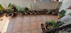  3 BHK Apartment at Raviraj Fortaleza, Kalyani Nagar – for Sale