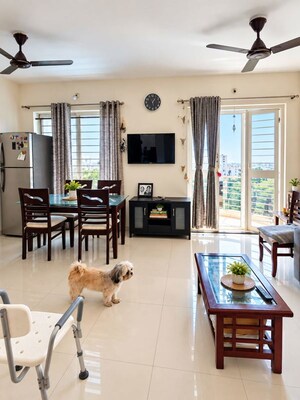 Living Room in 2 BHK Apartment at Saheel ITrend Homes, Hinjewadi – for Rent