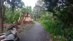  Plot – Exterior View View at Malancha Mahi Nagar - for Sale