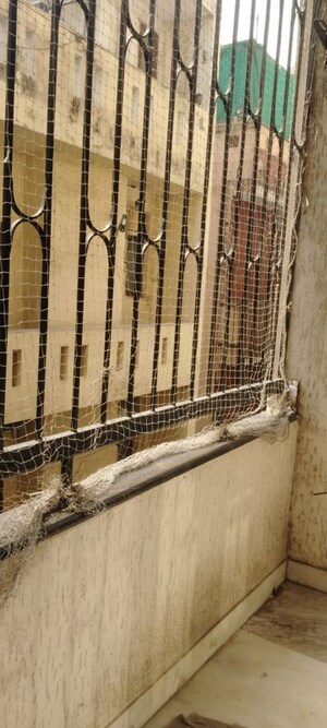 3 BHK Builder Floor – Exterior View View at Jasola Vihar - for Rent