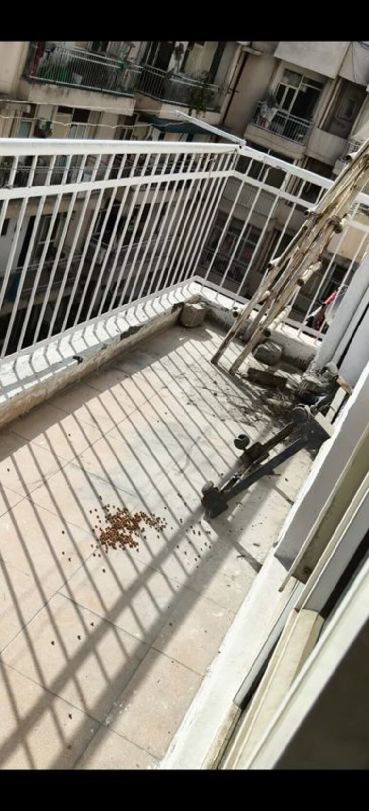 Balcony, landcraft-river-heights 2 Bedroom 970 Sq.Ft. Apartment In Raj Nagar Extension Ghaziabad 10762878