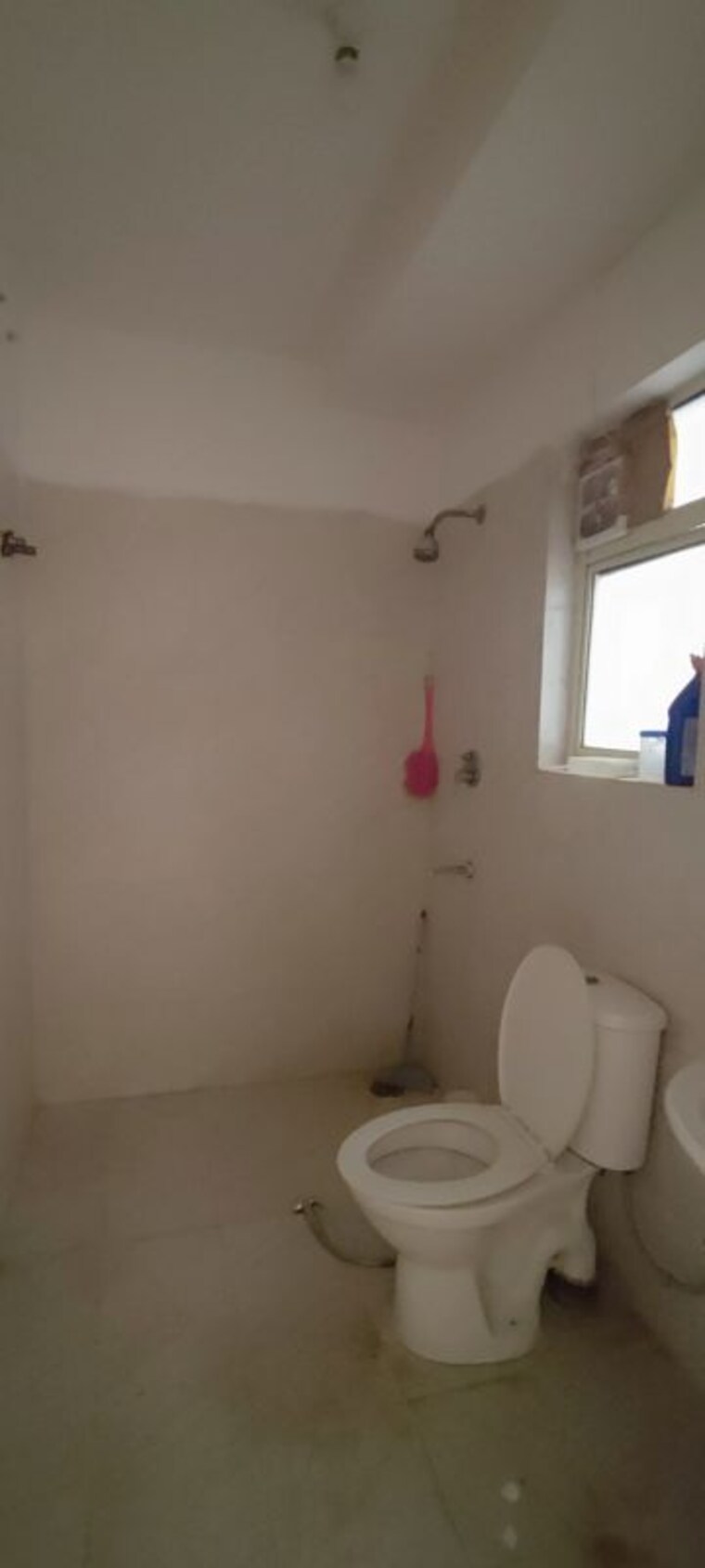 Bathroom, bptp-park-elite-floors 3 Bedroom 250 Sq.Yd. Builder Floor In Sector 85 Faridabad 10762936
