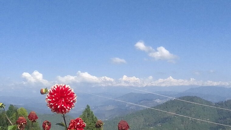 Garden, lansdowne  150 Sq.Yd. Plot In Lansdowne PauriGarhwal 10762989