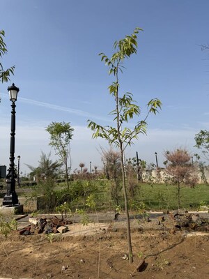  Plot – Garden View at Amolik Blossom Woods, Sector 97 - for Sale