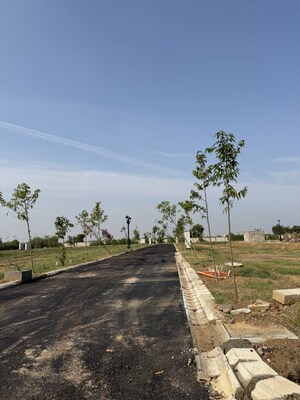  Plot For Sale in Amolik Blossom Woods, Sector 97