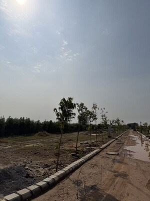 Swimming Pool in  Plot at Amolik Blossom Woods, Sector 97 – for Sale