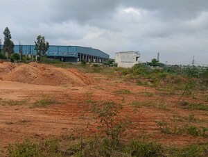 Plot Area in  Land at Dobbaspet – for Rent