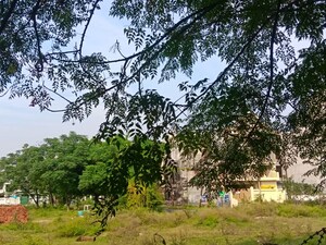 Plot Area in  Plot at Sector 71 – for Sale