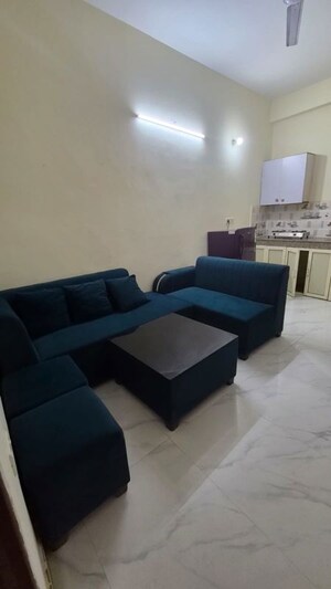 Living Room in 1 BHK Builder Floor at Freedom Fighters Enclave – for Rent