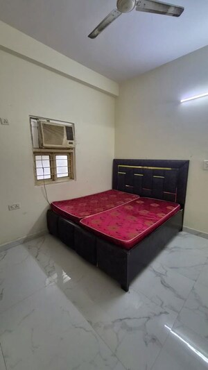 1 BHK Builder Floor For Rent in Freedom Fighters Enclave