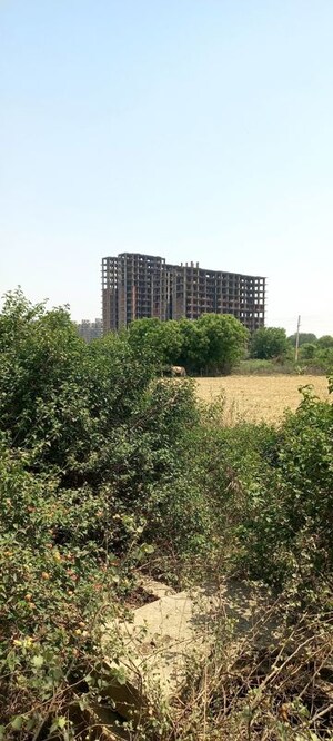  Plot – Exterior View View at Sector 78 - for Sale