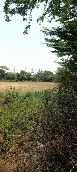  Plot For Sale in Sector 78