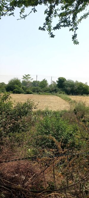 Plot Area in  Plot at Sector 78 – for Sale