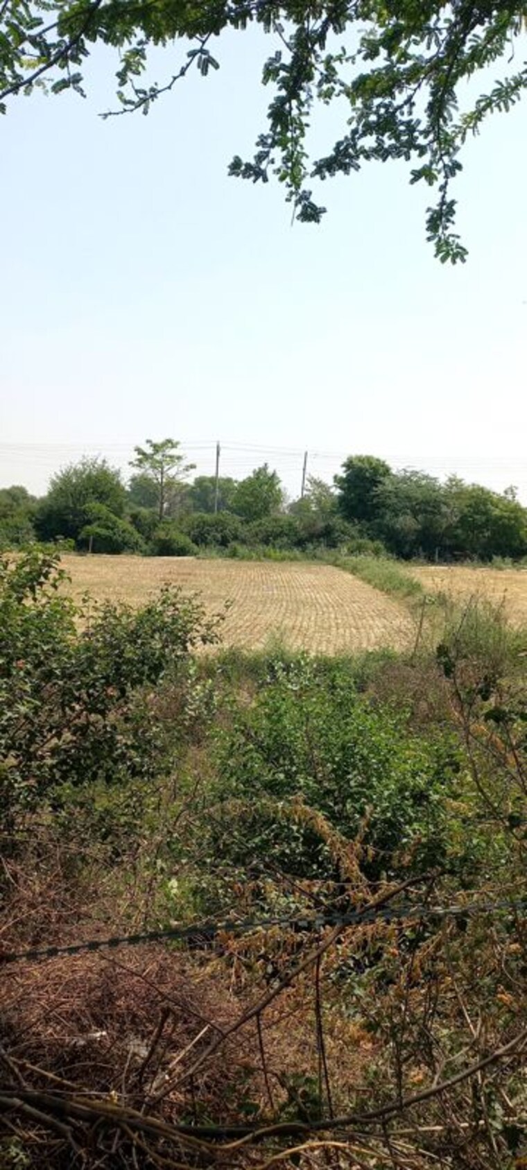 undefined, sector 78  208 Sq.Yd. Plot In Sector 78 Faridabad 10764205