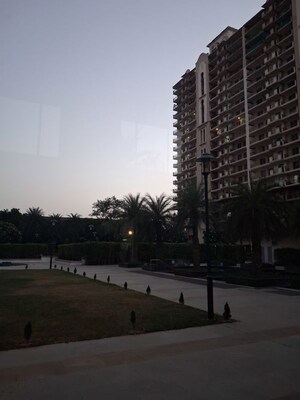 3.5 BHK Apartment – Exterior View View at DLF Express Greens, Manesar Sector 1a - for Rent