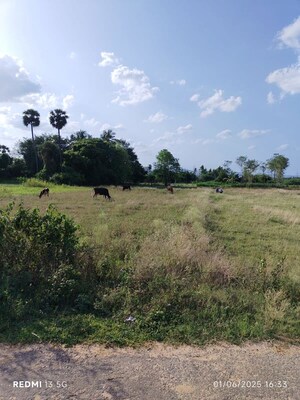 Plot Area in  Plot at Brahmanapattu – for Sale