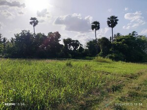 Plot Area in  Plot at Brahmanapattu – for Sale
