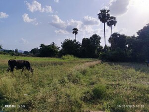 Plot Area in  Plot at Brahmanapattu – for Sale