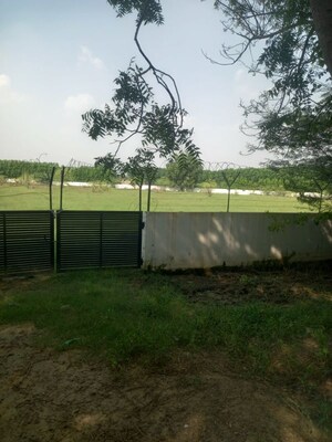  Plot For Sale in Sector 77