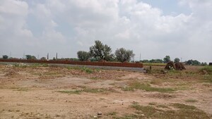  Plot For Sale in Kotputli
