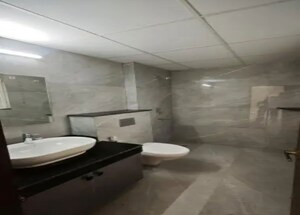 Bathroom in 3 BHK Apartment at Rishita Mulberry Heights, Sushant Golf City – for Rent