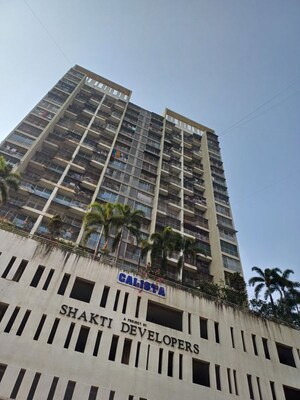 2 BHK Apartment For Rent in Shakti Calista, Ghansoli