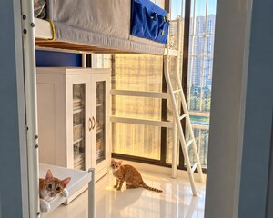 Furnished Amenities in 1 BHK Apartment at Gami Reagan, Ghansoli – for Sale