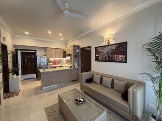 2 BHK +Apartment For Rent in Central Park 3 The Room in Sohna Sector 33, Gurgaon
