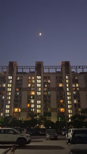 3 BHK Apartment For Rent in ROF Aalayas, Sector 102