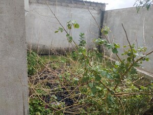 Plot Area in  Industrial Plot at Sadar – for Sale