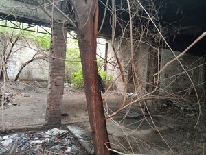 Plot Area in  Industrial Plot at Dada Colony – for Sale
