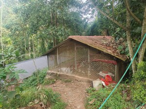  Independent House – Exterior View View at Nedumangad - for Sale