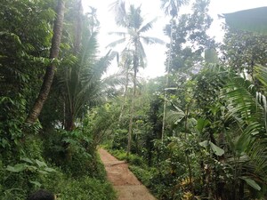  Independent House – Garden View at Nedumangad - for Sale