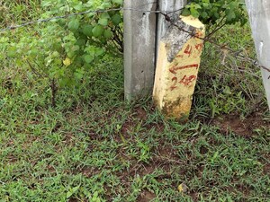 Plot Area in  Land at Bhongiri Warangal Highway – for Sale