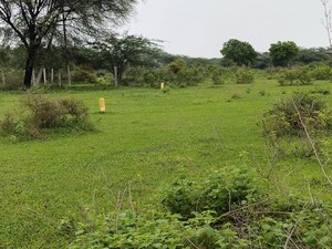 Plot Area in  Land at Bhongiri Warangal Highway – for Sale