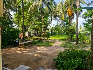  Independent House – Garden View at Danavaipet - for Sale