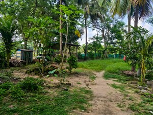  Independent House – Garden View at Danavaipet - for Sale