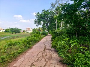 Plot Area in  Independent House at Danavaipet – for Sale