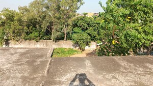 Plot Area in  Independent House at Sanjay Nagar – for Sale