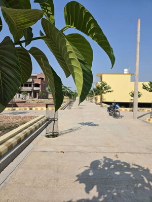  Plot – Exterior View View at Hulas Khera - for Sale