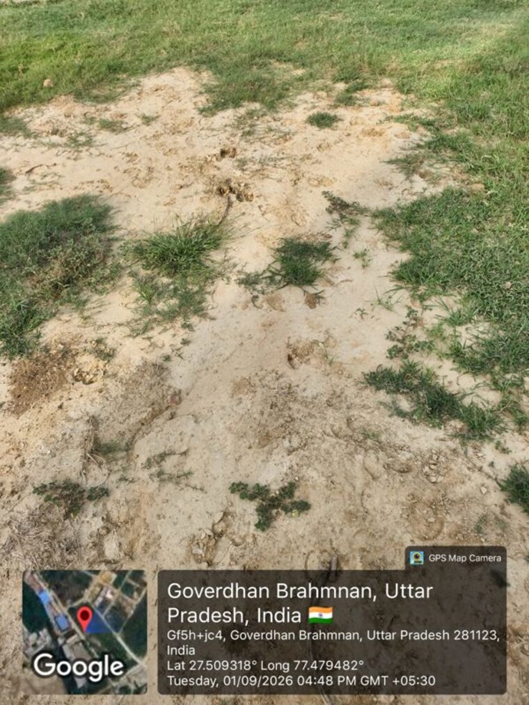undefined, goverdhan Commercial Industrial Plot 1400 Sq.Yd. In Goverdhan Mathura 10766739