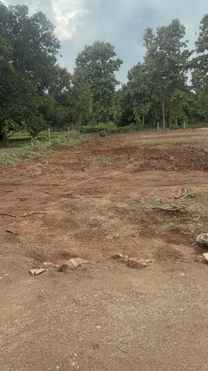 Plot Area in  Plot at Surampalli – for Sale